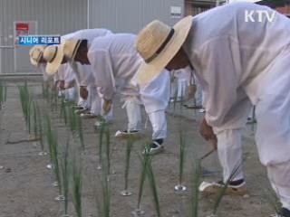 신바람 가락에 온 마을 들썩! [시니어 리포트]