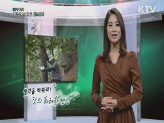 KTV 기획 대한민국의 희망, 창조경제 + (66회)