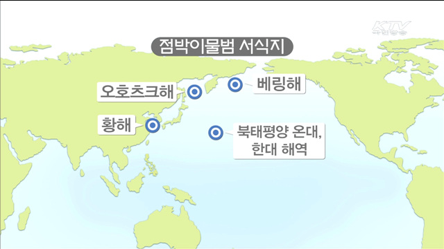 점박이물범 보호 위해 '서식 환경 개선'