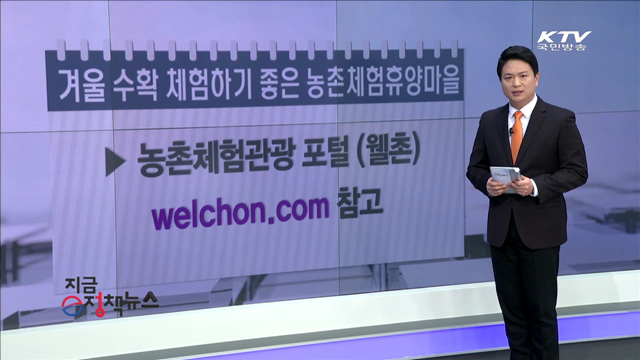 농촌의 겨울 정취와 맛을 느낄 수 있는 '겨울 수확 [e정책뉴스]