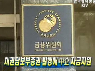 채권담보부증권 발행해 中企 자금지원