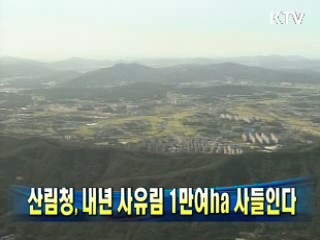 산림청, 내년 사유림 1만여ha 사들인다