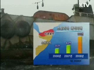 소말리아 해역, 국군 함정 파견