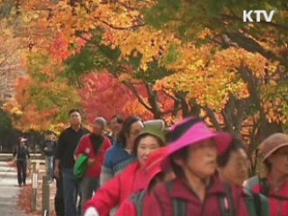 제9회 '산의 날'…산림복지 서비스 본격 추진