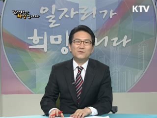 취업을 위한 틈새전략, 연령별 해외취업 공략법