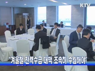 "겨울철 전력수급 대책 조속히 수립해야"