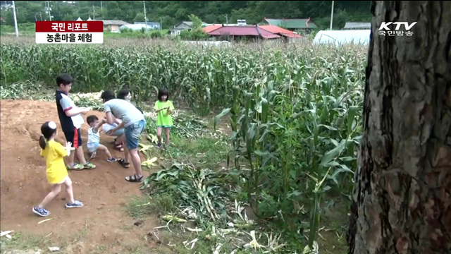 휴가철 농촌마을 체험…"재미있어요" [국민리포트]