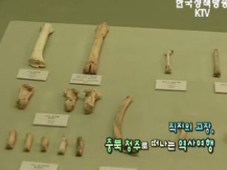 그곳에 가고 싶다