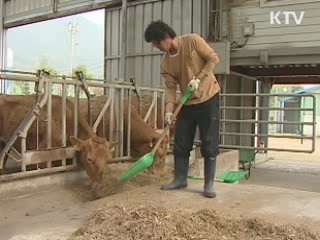 지난해 농어가 소득·부채 모두 상승