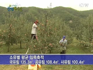 잘 가꾼 우리숲! 지난해 10톤 트럭 380만대분 자라