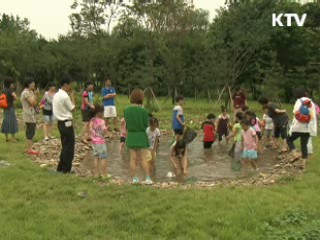 농어촌 체험마을·민박 '등급제' 도입