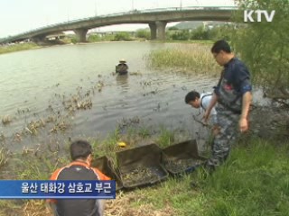 태화강 배스를 퇴치하라