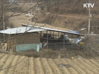 구제역 재발 방지 전방위 대책 시행