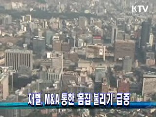 재벌, M&A 통한 '몸집 불리기' 급증