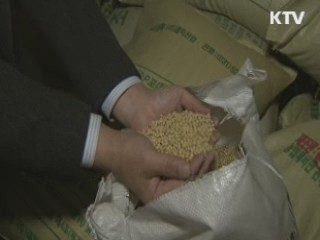 '콩나물콩 70톤 국내산 둔갑' 업체 적발