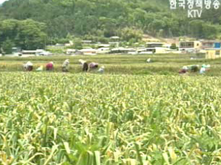 농촌인구 10명 중 3명 65세 이상