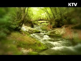 민족의 정기가 시작된 땅 - 태백 [대동문화도]