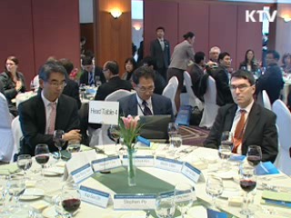 "G20에 개도국 목소리 적극 반영"