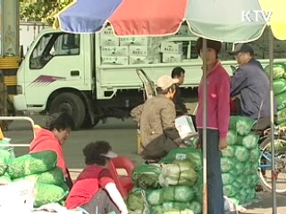 배추 공급 확대, 사재기 등 강력 대응