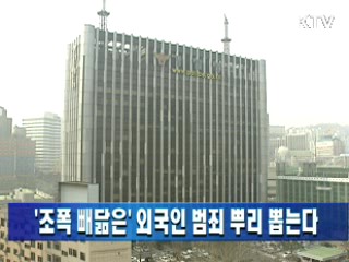 '조폭 빼닮은' 외국인 범죄 뿌리 뽑는다