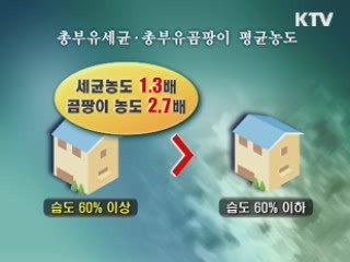 가정집 70%, 공기중 세균 기준치 초과