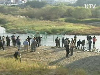 태화강 어린 연어 '인공부화'