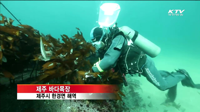 '제주 바다목장' 문 열어…소득증대·체험관광