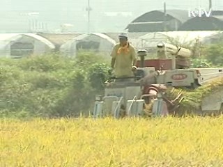 정부 매입 등 쌀값 안정대책 추진