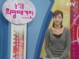 벼농사의 새로운 혁명이 시작된다