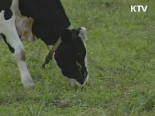 靑 "국민 건강 가장 중요하게 생각"