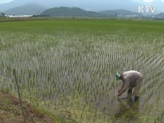 노후 저수지 보강···재해대비 예산 증액