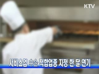 서비스업 中企 적합업종 지정 한 달 연기