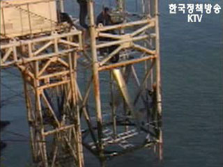 테마기획 ‘바다로 세계로’