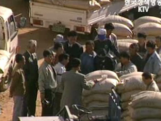 올해 쌀 생산 484만t··· 4년만에 풍년