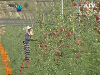 「추석특집」흙으로 빚는 희망