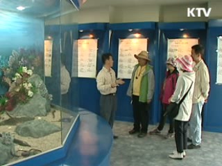 흑산도에 산다 [문화공감 대한민국]