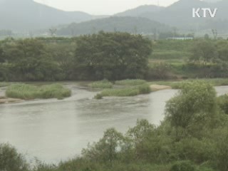 생태의 보고 담양습지를 가다