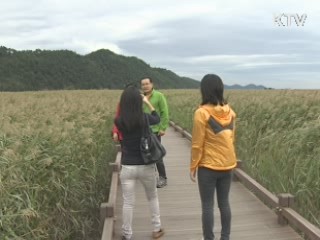 축제의 계절 가을, 놀러오세요!