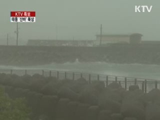 태풍 '산바' 북상···정오쯤 남해안 상륙