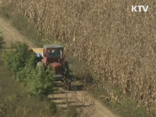"북, 수확 곡물 인센티브제 도입"