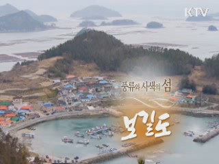 역사와 풍류의 섬 - 보길도