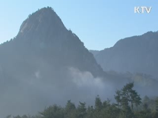 北, 이산가족 실무접촉 수용···금강산관광 회담도 제안