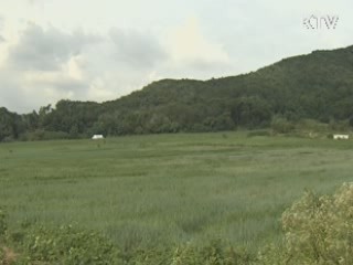 전두환 전 대통령 처남 이창석씨 구속