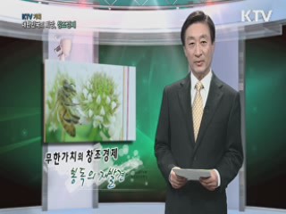 KTV 기획 대한민국의 희망, 창조경제 (25회)