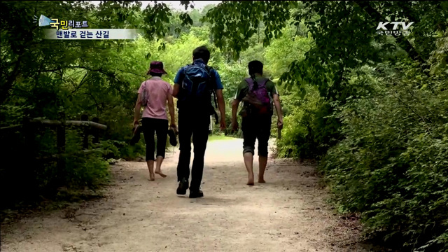 '더위·스트레스 안녕'…맨발로 산길 걷기