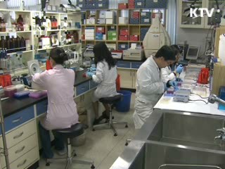 '인플루엔자A' 소강국면 진입한 듯