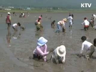 '여행을 떠나요' 생태·체험형 관광