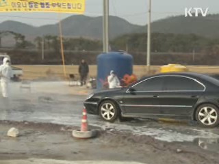 김 총리 "구제역 농가지원 소홀함 없어야"