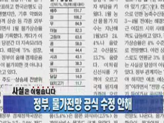 정부, 물가전망 공식 수정 안해