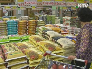 올해 쌀 수확량, 평년치 유지 전망